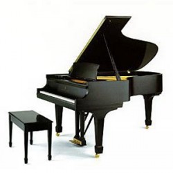 PIANO QUEUE STEINWAY SERIE B