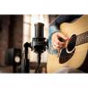 Shure - Micro de Studio SM4 KIT