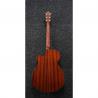 Ibanez - Guitare électro-acoustique AEG70PIH Iris violet