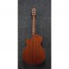 Ibanez - Guitare électro-acoustique AEG70TCH Transparent Charcoal Burst High Gloss 