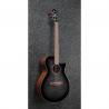 Ibanez - Guitare électro-acoustique AEG70TCH Transparent Charcoal Burst High Gloss 