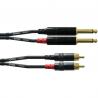 Cordial - Câble Audio 2 jacks m./2 RCA - 3m