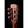 Cort - Guitare Acoustique Compact AP550M Parlor Acajou