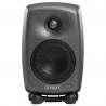 Genelec - Enceinte de monitoring 8020 DPM