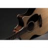 Martin - Guitare Electro Acoustique Grand Performance GPC-16E Palissandre
