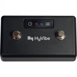 Lâg - Contrôleurs BlueTooth pour HyVibe 2 switchs