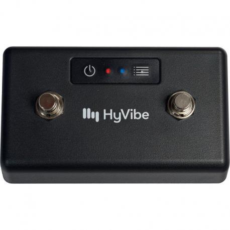 Lâg - Contrôleurs BlueTooth pour HyVibe 2 switchs