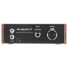 Black Lion Audio Auteur DT