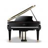 FRIDOLIN SCHIMMEL F 156 Tradition