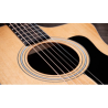Taylor - 114CE Sapele/Spruce/Eucalyptus