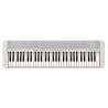 CASIO LK-S250