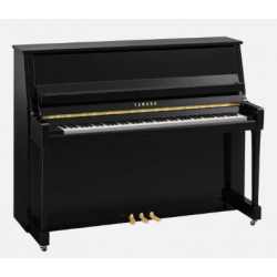YAMAHA B20 PE - Noir Brillant