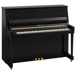 YAMAHA B30 PE - Noir Brillant