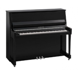 YAMAHA B30 PEC - Noir Brillant Chromé