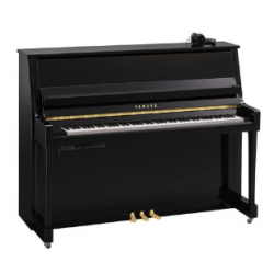 YAMAHA B20 SC3 PE - Noir Poli