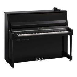YAMAHA B20 SC3 PEC - Noir Brillant Chromé