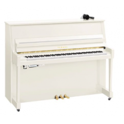 YAMAHA B20 SC3 PWH - Blanc Brillant