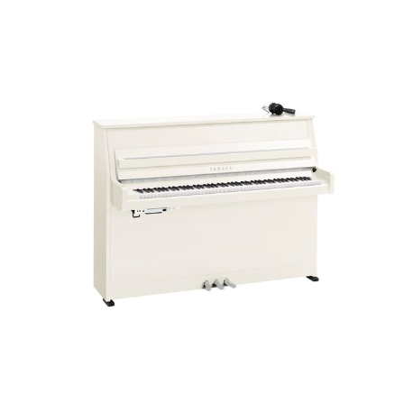 YAMAHA B10 SC3 PWHC
