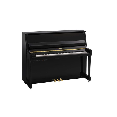 YAMAHA B20 TC3 PE - Noir Brillant