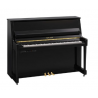 YAMAHA B20 TC3 PE - Noir Brillant