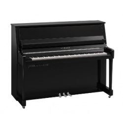 YAMAHA B20 TC3 PEC - Noir Brillant Chromé