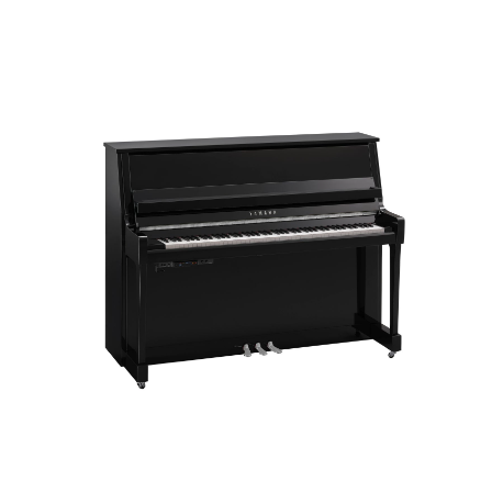 YAMAHA B20 TC3 PEC - Noir Brillant Chromé