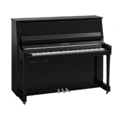 YAMAHA B30 TC3 PEC - Noir Brillant Chromé