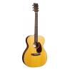 MARTIN D-10E