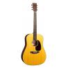 MARTIN D-10E