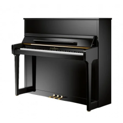 SCHIMMEL E123 - TRADITION
