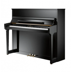 SCHIMMEL E121 - TRADITION
