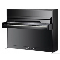 SCHIMMEL E116 - MODERN