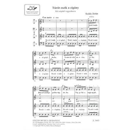 Turot Eszik A Cigany Mixed Voices KODALY ZOLTAN