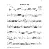 Concerto For 2 Violins And Orchestra D Minor Bwv 1043 BACH JOHANN SEBASTIAN