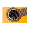 PLEYEL P100 Etude 4/4