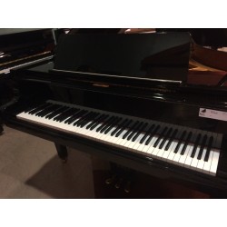 PETROF PIANO 1/2 QUEUE