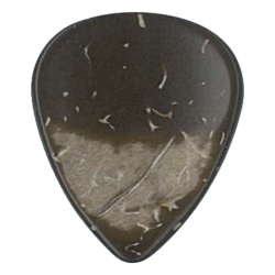 DUGAIN COQUILLE DE NOIX DE COCO